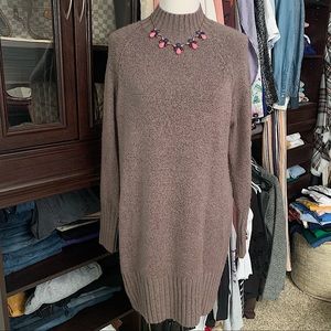 Express Sweater Dress